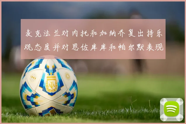 麦克法兰对内托和加纳乔复出持乐观态度并对恩佐库库和帕尔默表现表示满意
