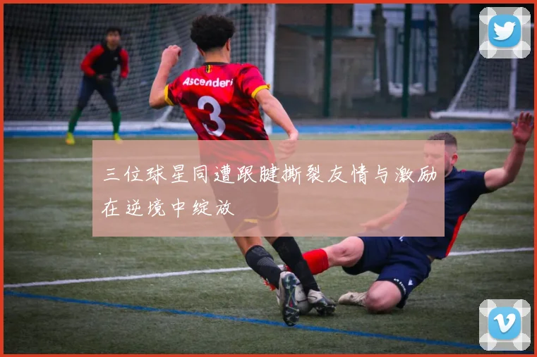 三位球星同遭跟腱撕裂友情与激励在逆境中绽放